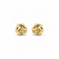 Pair of gold knot earrings on a white background