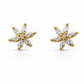 Gold star-shaped earrings with clear cubic zirconia on a white background